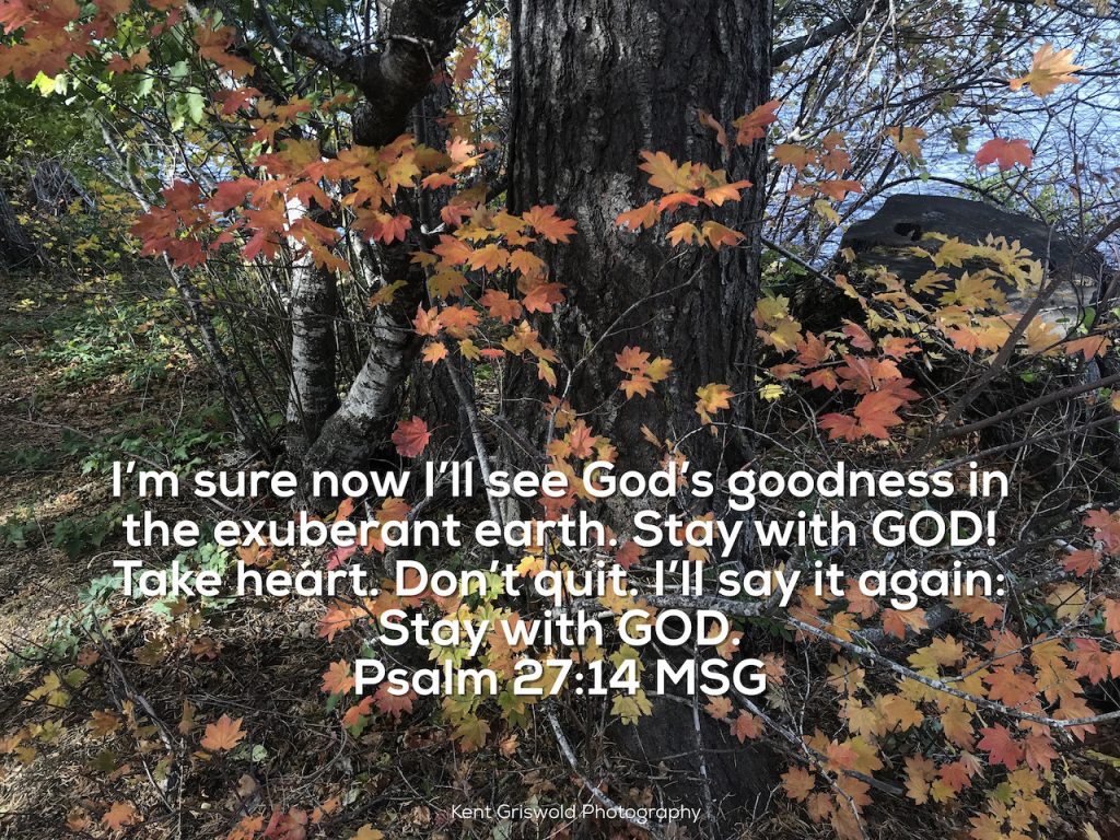 Goodness - Psalms 27:14 