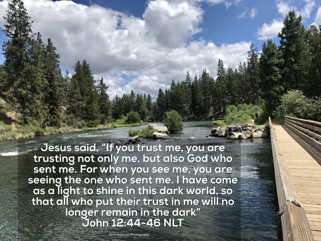 Trust - John 12:44-46