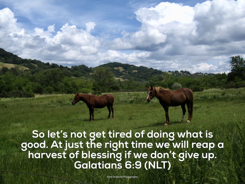 Good - Galatians 6:9