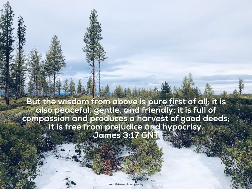 Wisdom - James 3:17