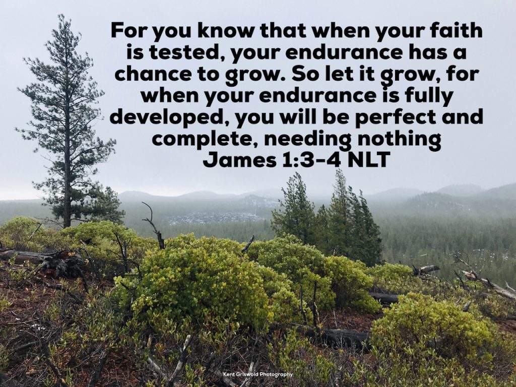 Endurance - James 1:3-4