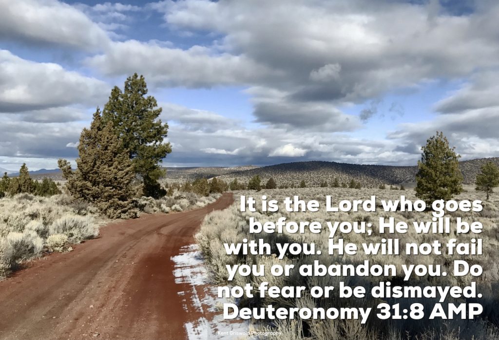 Abandon - Deuteronomy 31:8