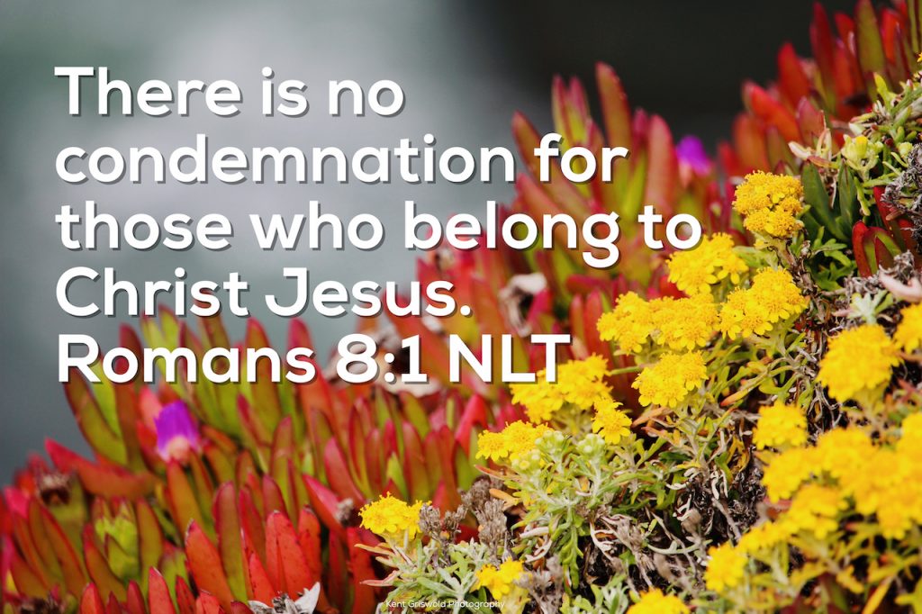 Condemnation - Romans 8:1