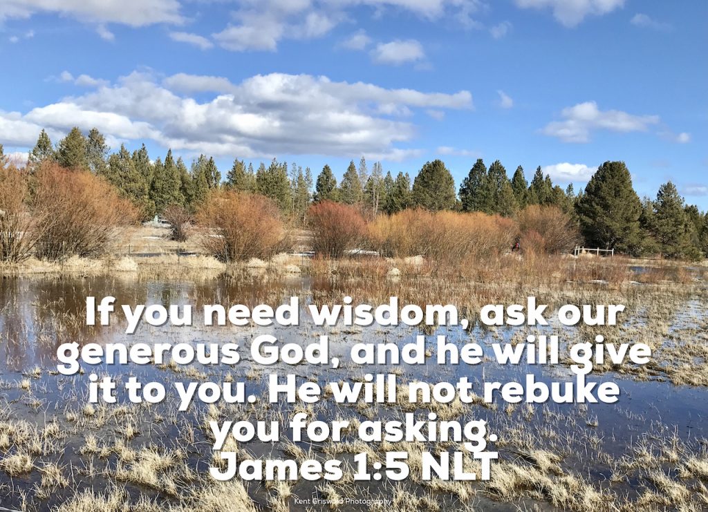 Wisdom - James 1:5 