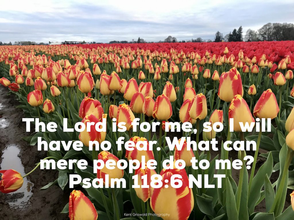 Fear -Psalm 118:6
