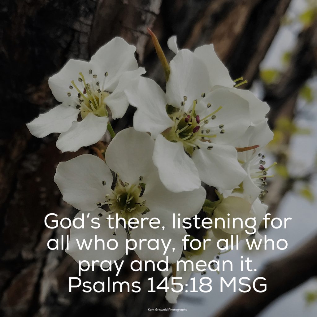 Prayer - Psalms 145:18