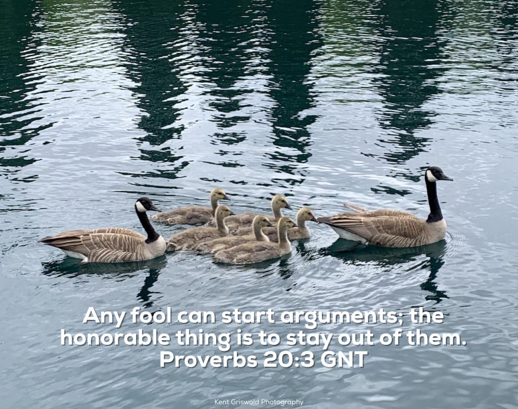 Argument - Proverbs 20:3
