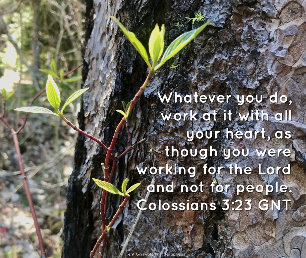 Work - Colossians 3:23