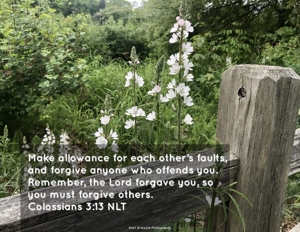 Allowance - Colossians 3:13