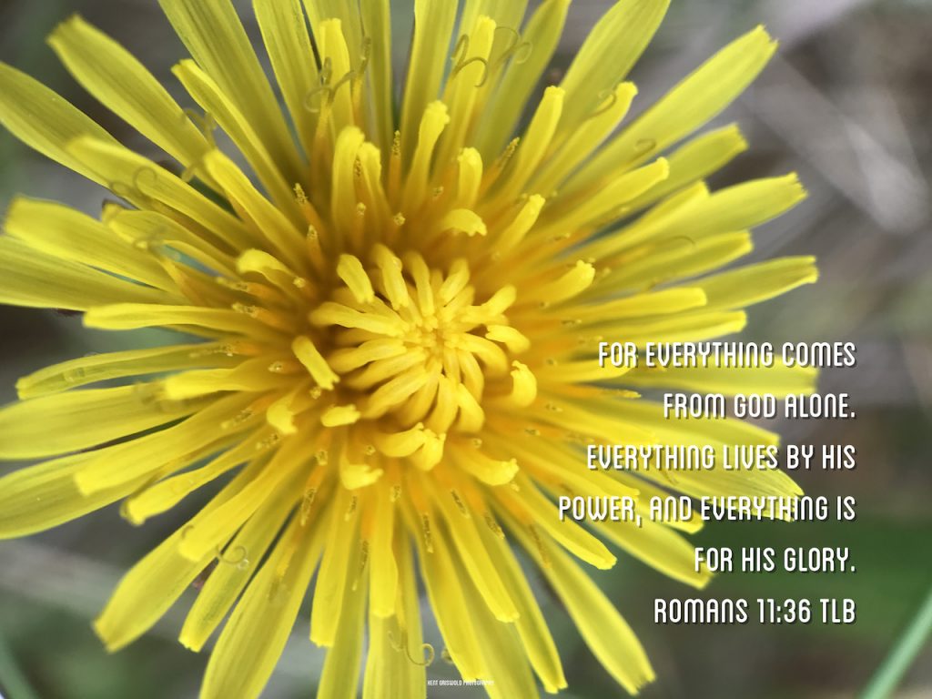 Glory - Romans 11:36