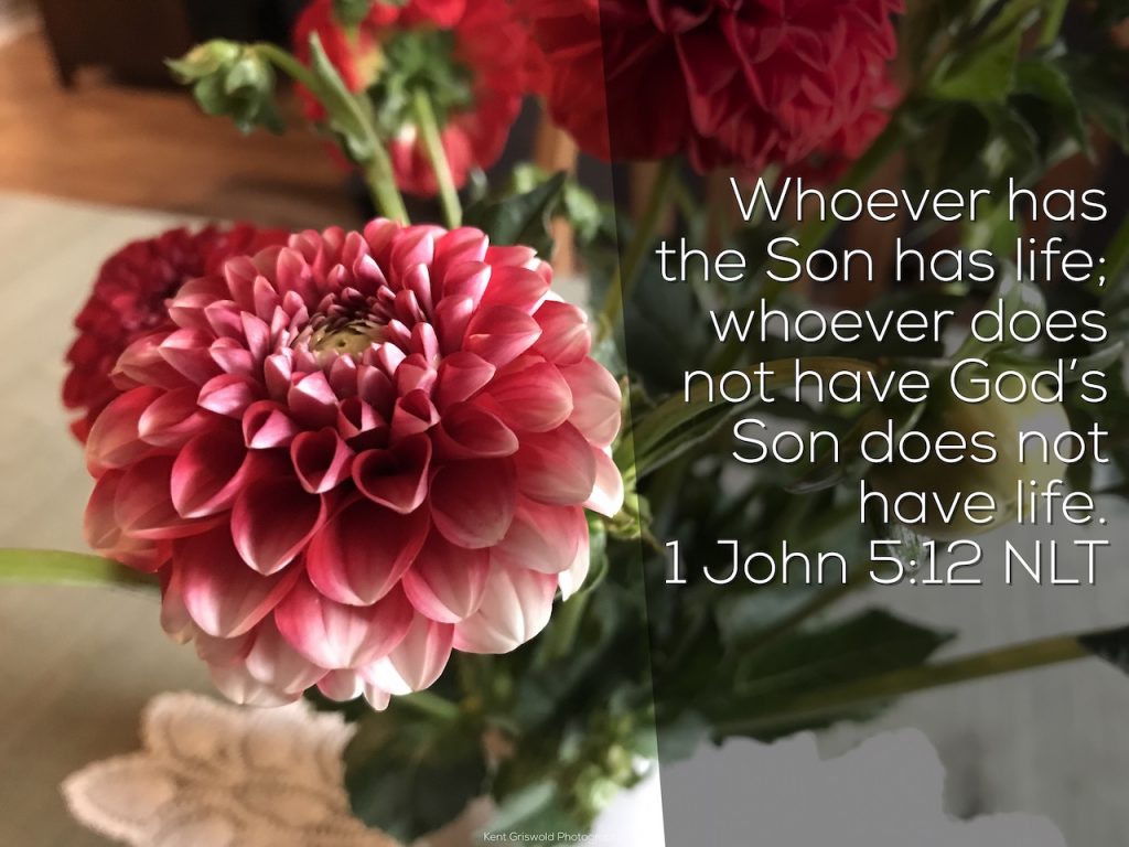 Life - 1 John 5:12