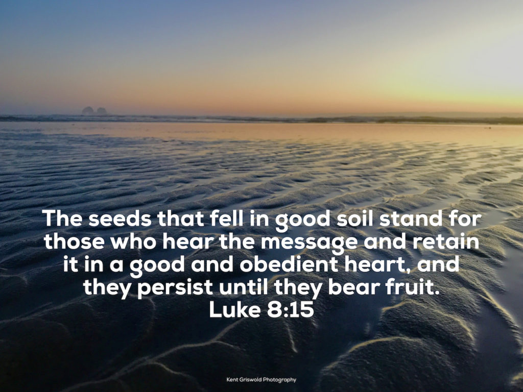 Fruit - Luke 8:15