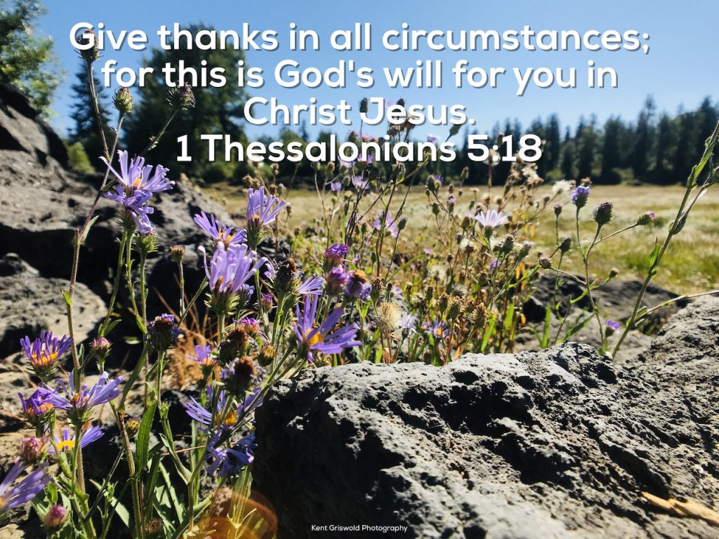 Thanks - 1 Thessalonians 5:18