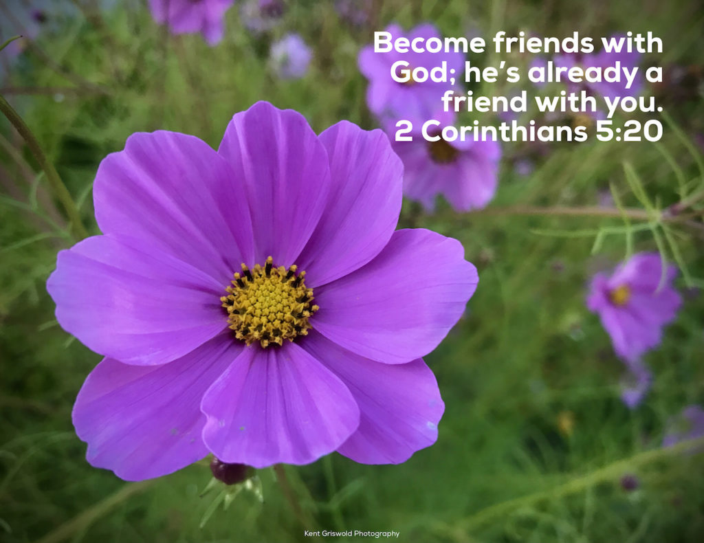 Friends - 2 Corinthians 5:20