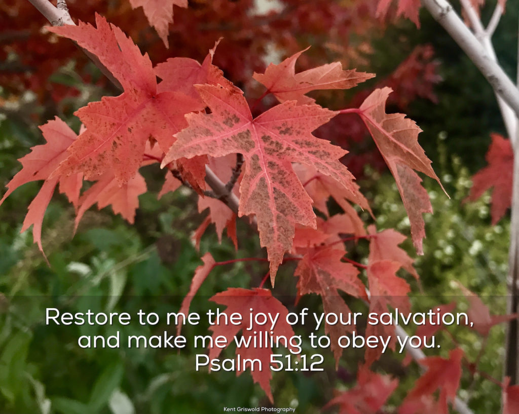 Joy - Psalm 51:12