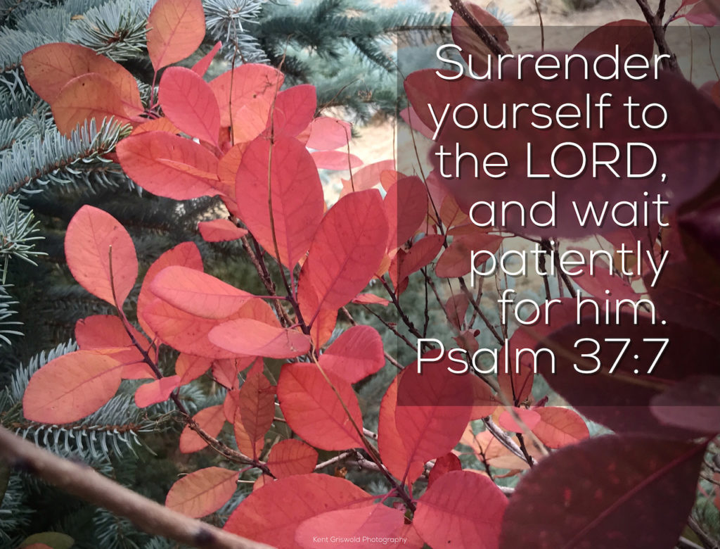 Surrender - Psalm 37:7