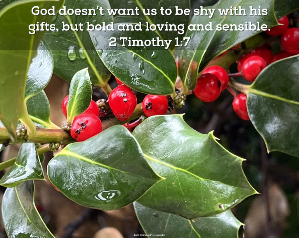 Gifts - 2 Timothy 1:7