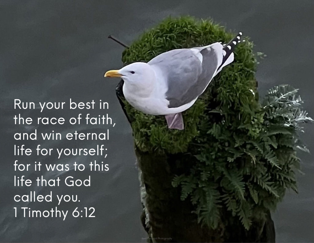 Race - 1 Timothy 6:12