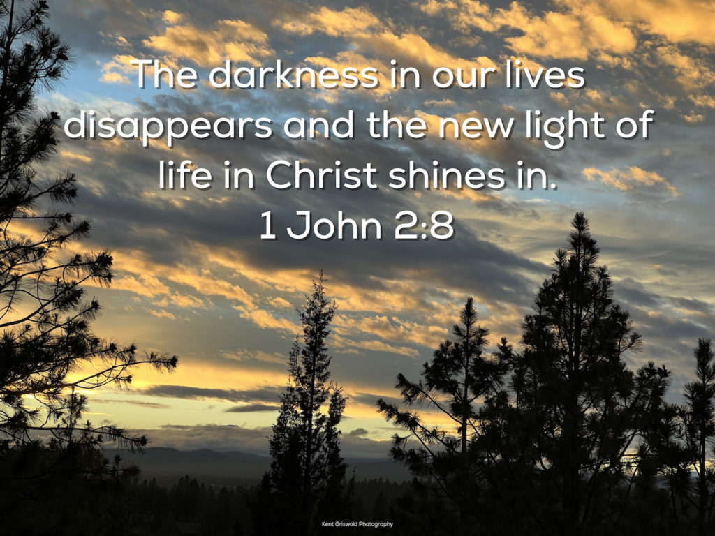 Light - 1 John 2:8