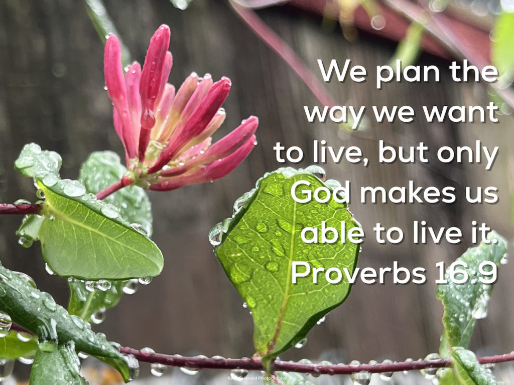 Plans - Proverbs 16:9