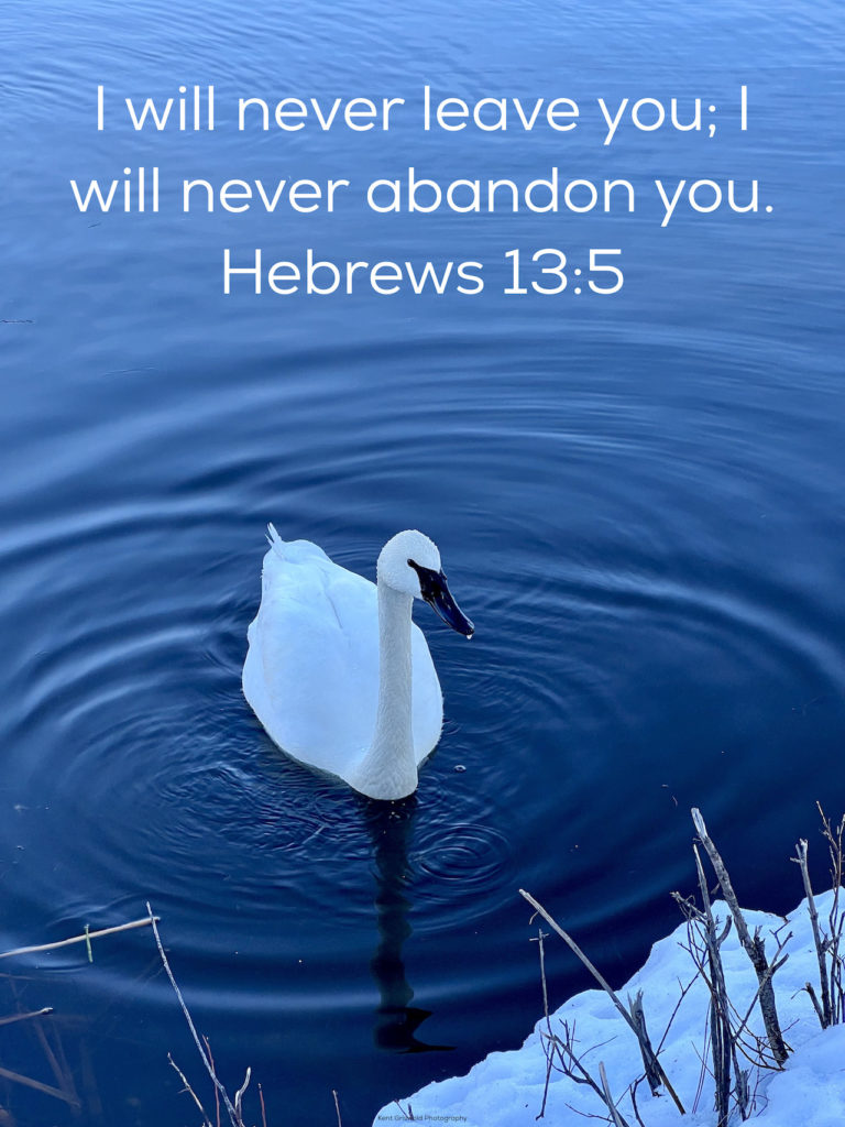 Leave 0 Hebrews 13:5