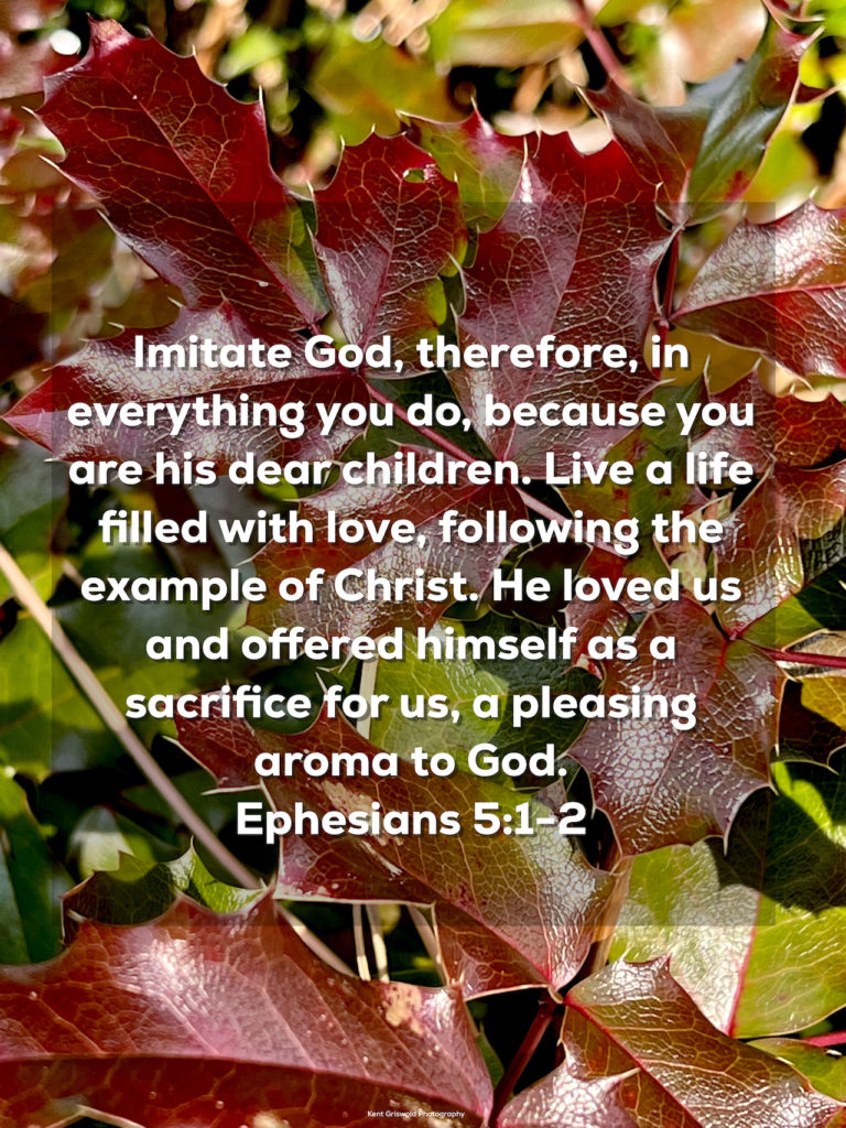 Love - Ephesians 5:1-2