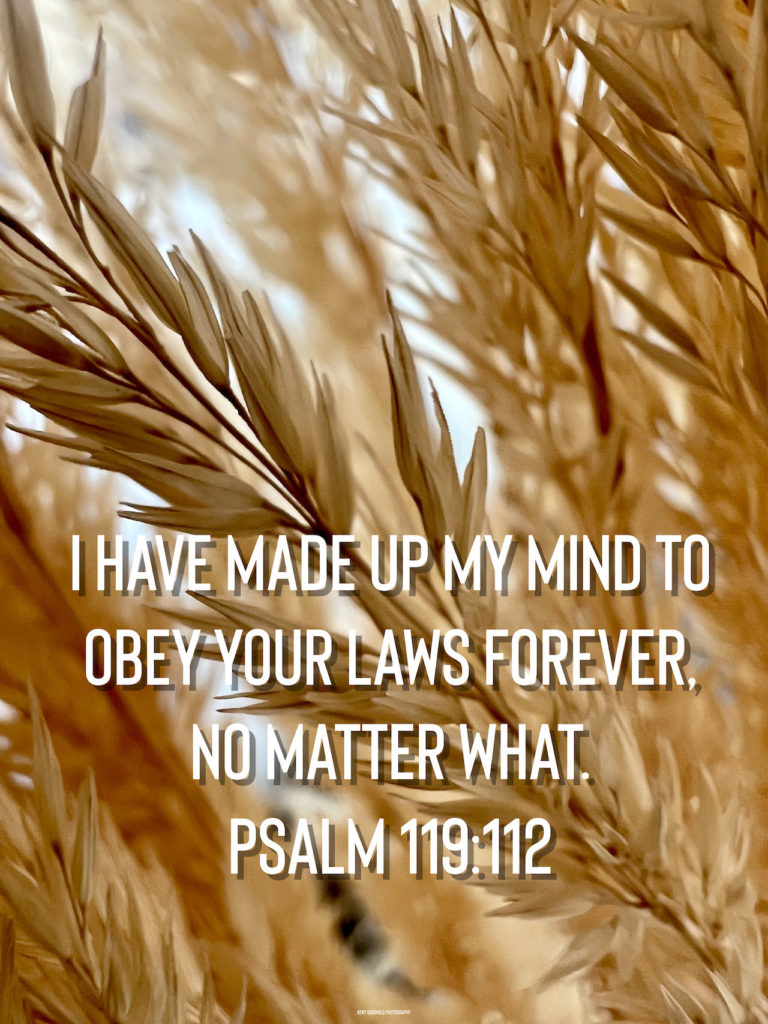 Laws - Psalm 119:112