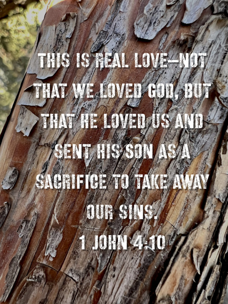 Sacrifice - 1 John 4:10