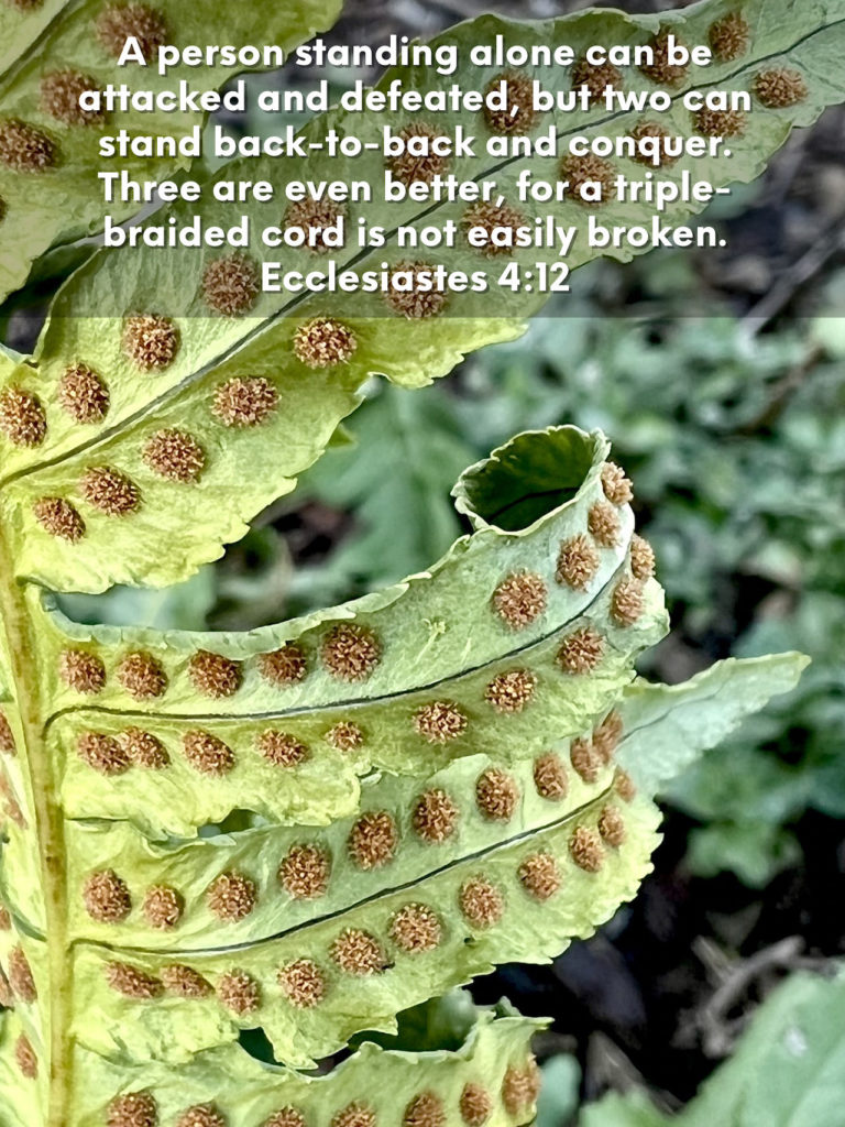Together - Ecclesiastes 4:12