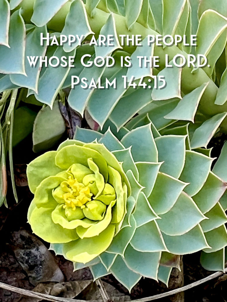 Happy - Psalm 144:15