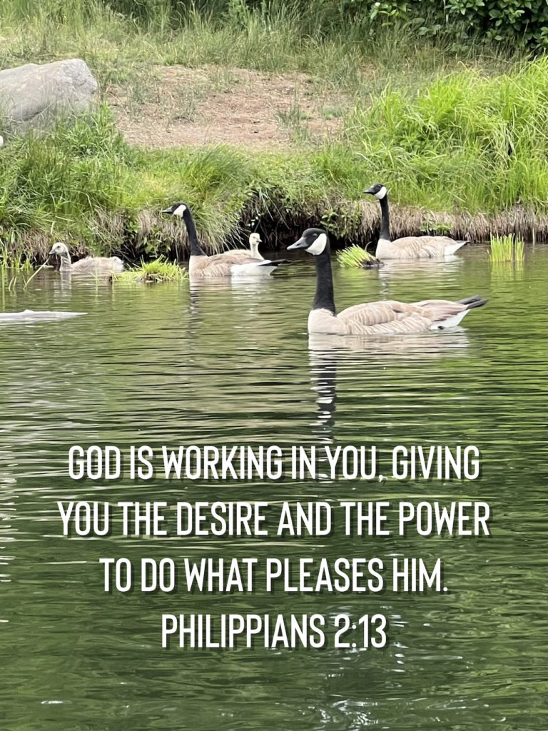Desire - Philippians 2:13